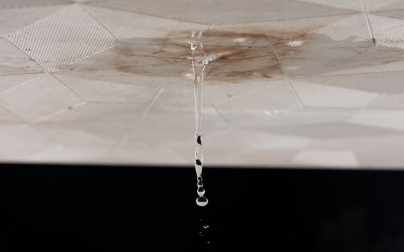Rapport diagnostic assurance dégât des eaux à Créteil